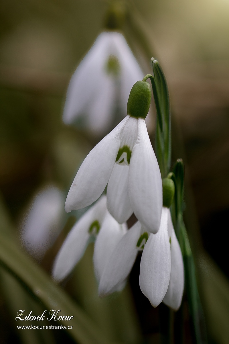 IMG_6685_PS